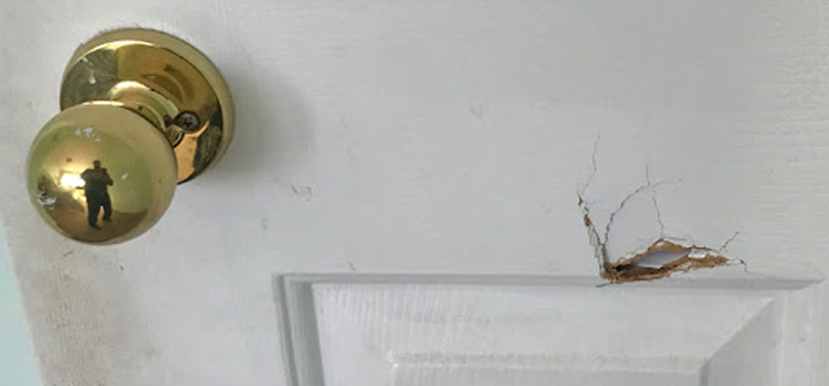 interior door hole repair St. Helena
